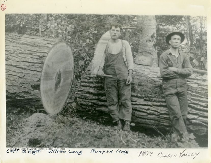 Two man in front of a cut down tree
